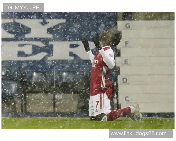 足球维奇：探索足球世界的奇妙旅程与激情碰撞