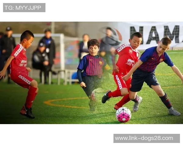 足球元素t的魅力探秘与技术解析助你提升球场表现与战术理解